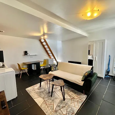 Studios Au Quartier Pavillonnaire Rue D Ambert Orleans Exterior photo